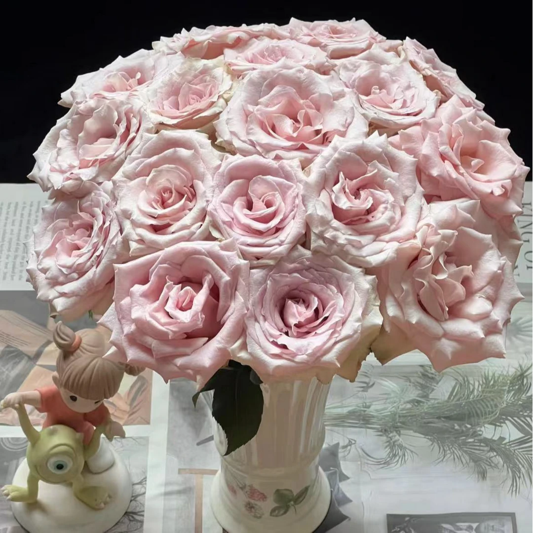 【一品花集】【流沙】单头玫瑰花型优秀鲜切花 全场任意满一单包邮