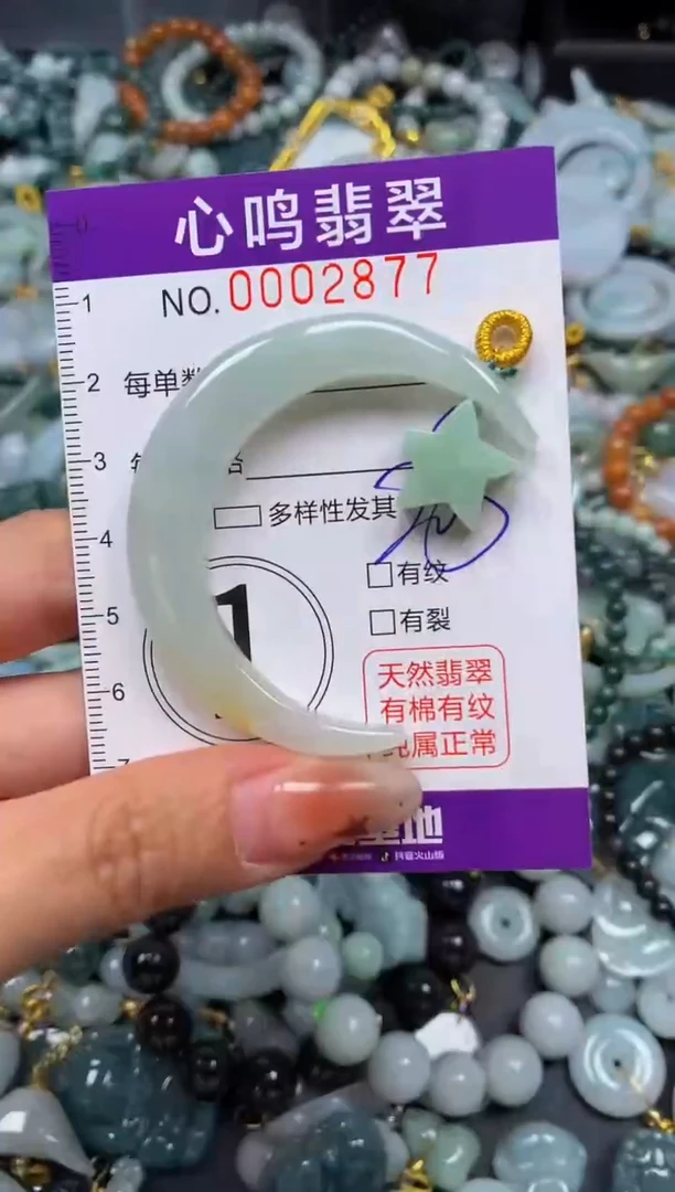 翡翠未镶嵌颈饰闪购002877