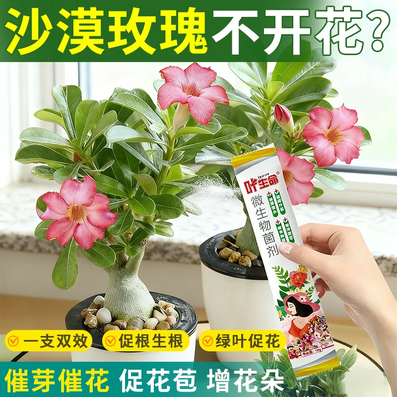 叶生命绿植花卉专用沙漠玫瑰黄叶枯枝不开花微生物菌肥绿植通用