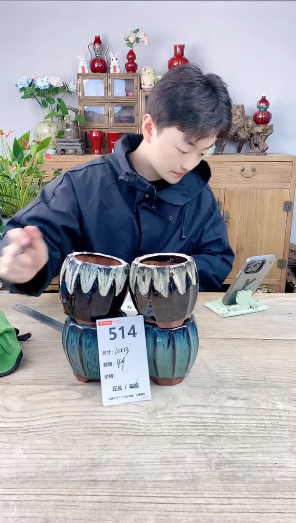 晴好园艺直播编号514