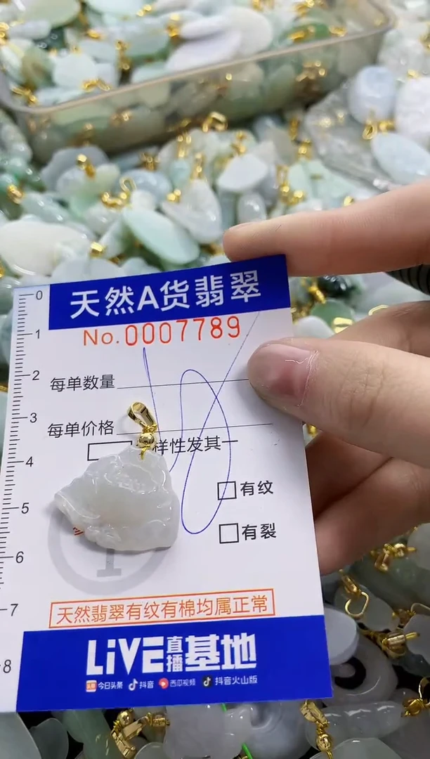 颈饰未镶嵌翡翠天然A货翡翠