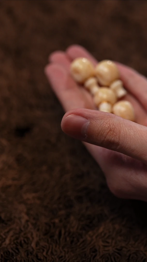 吊坠猛犸象牙三通12满脑