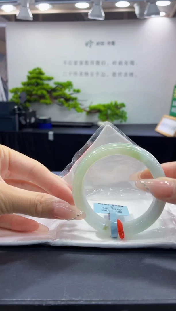 未镶嵌手镯翡翠7