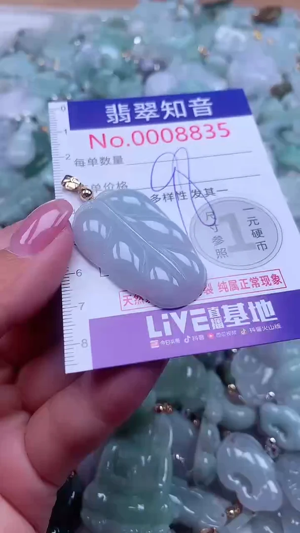 颈饰未镶嵌翡翠8835