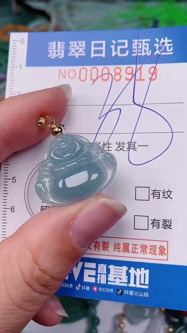 【闪购商品】翡翠颈饰未镶嵌00008919