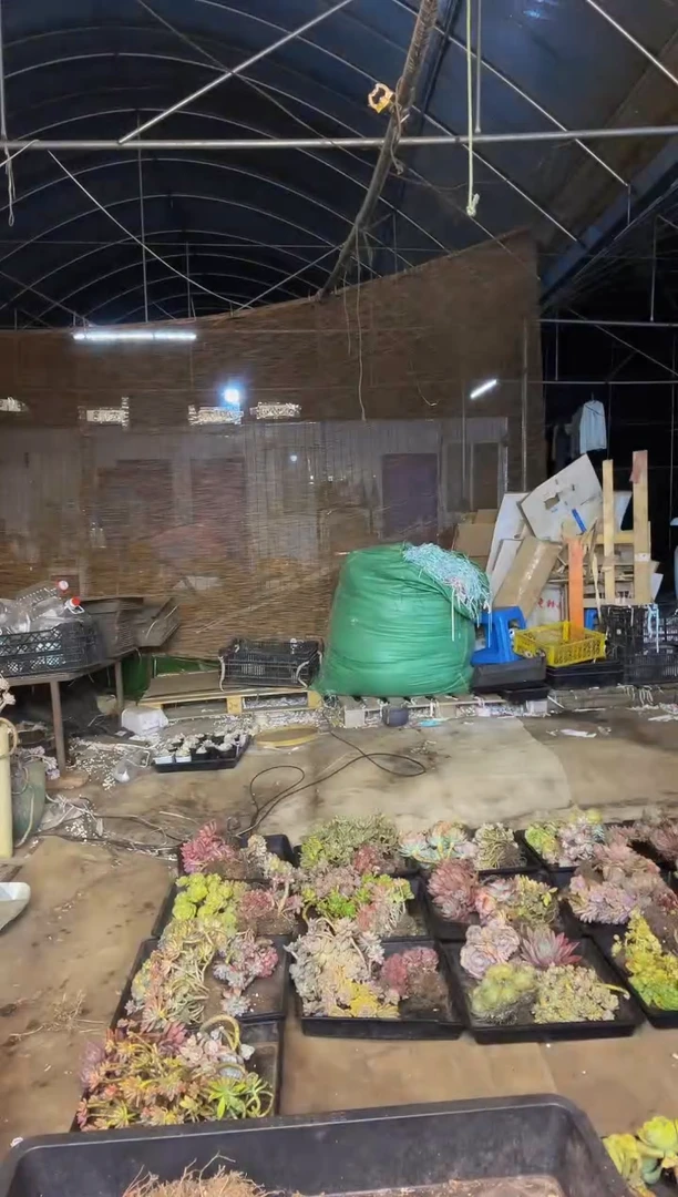 【闪购商品】28号一物一拍默认微瑕不售后