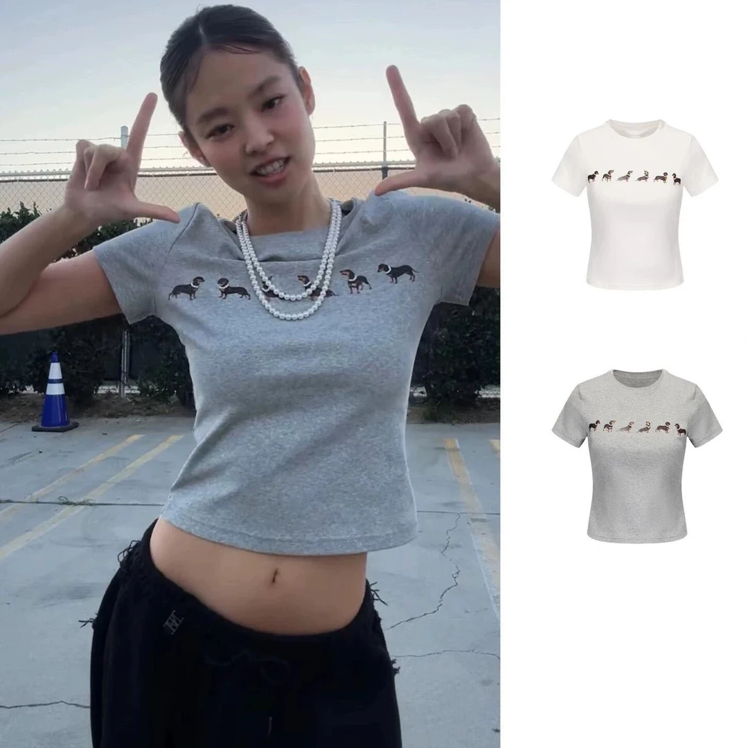 【安可乐】百搭腊肠狗套头短袖美式辣妹风T恤气质休闲打底衫女3406
