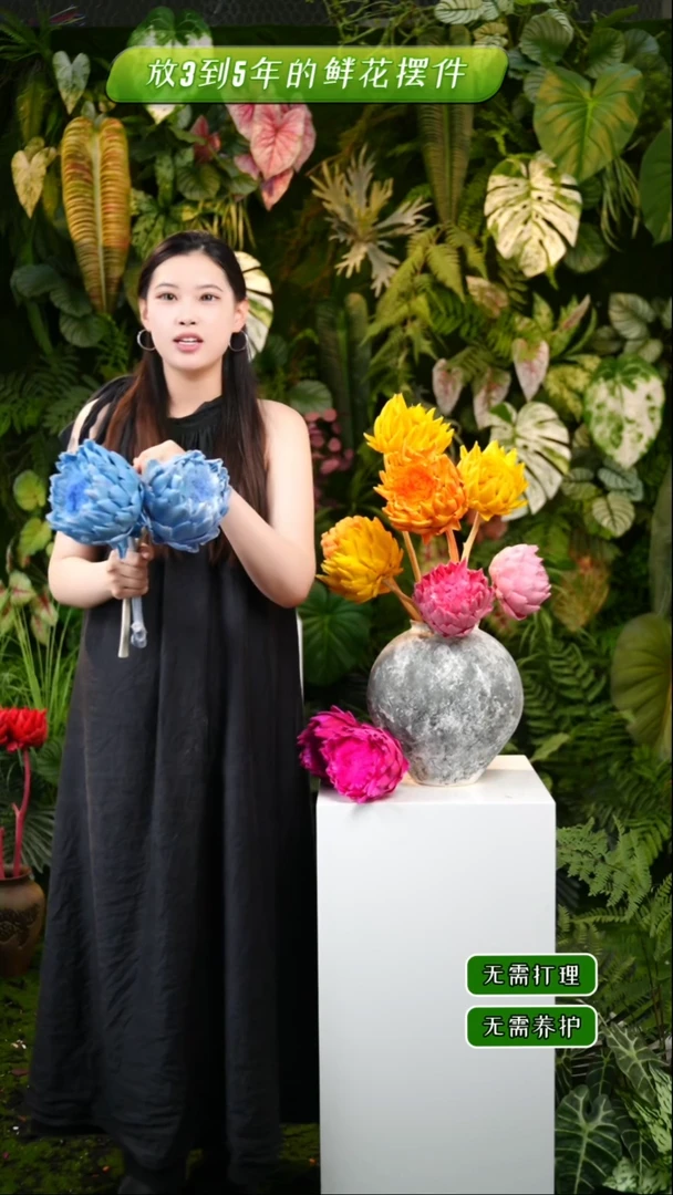 永生花洋蓟天空蓝2枝发货直径不低于10cm不售后