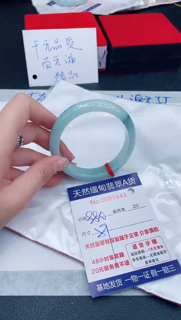 未镶嵌手镯翡翠880
