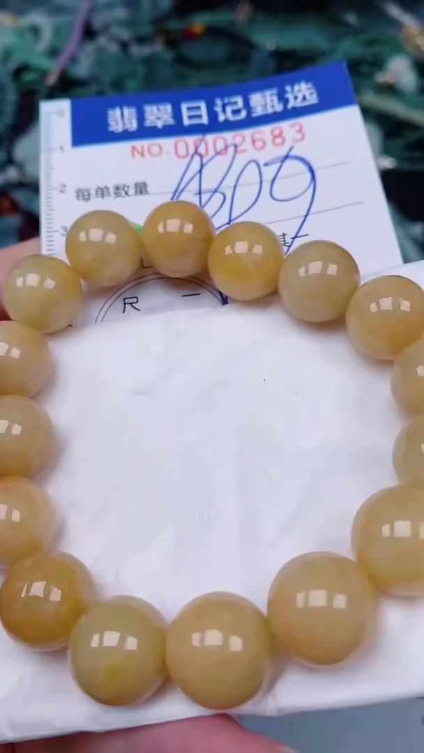 翡翠未镶嵌颈饰00002683