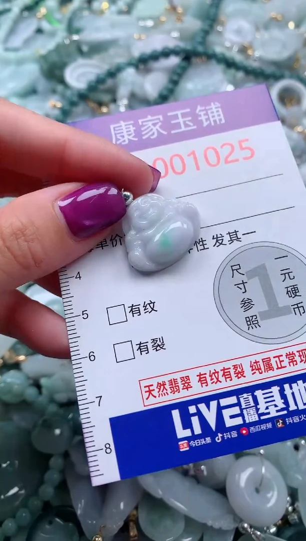 颈饰未镶嵌翡翠1025