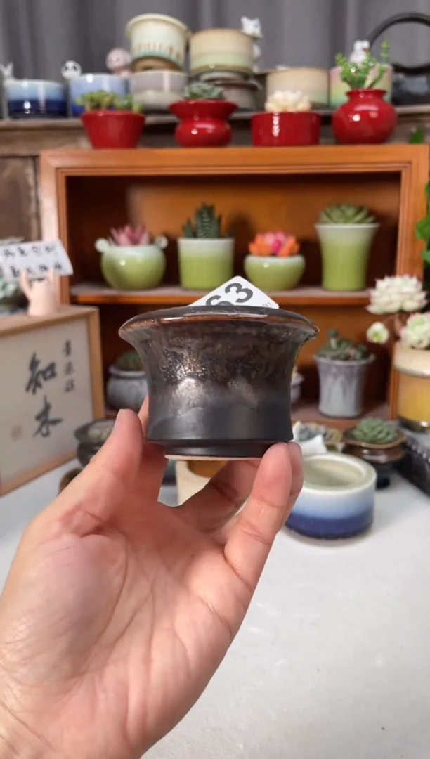 瓷片463小芳直播编号