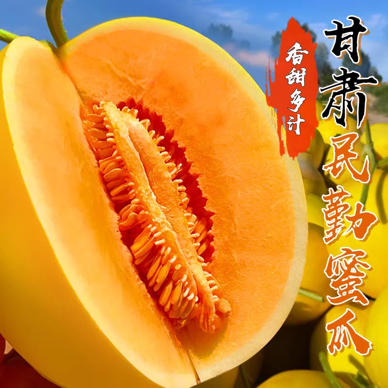 【爆甜多汁】甘肃特产正宗民勤蜜瓜 (2个装)甘肃省