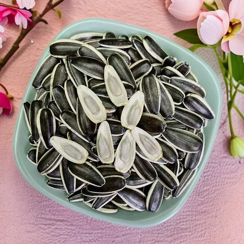 大颗粒生瓜子25年内蒙古产地直发