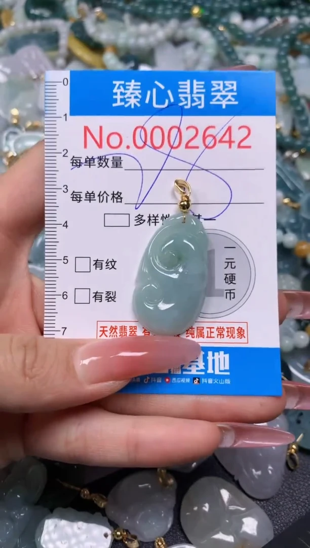 【闪购商品】翡翠颈饰未镶嵌含绳0002642