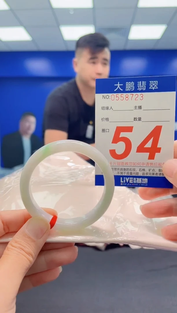未镶嵌手镯翡翠AAAAAAAAA