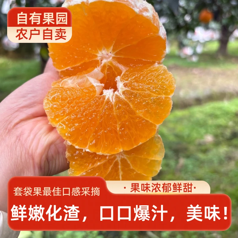 【农家自卖】四川眉山正宗爱媛38号果冻橙新鲜水果现摘现发套袋果