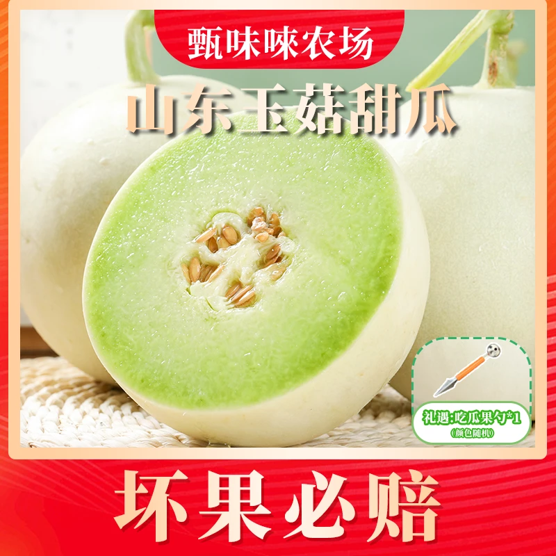 【甄味唻农场】山东玉菇甜瓜4.5斤 单果1000g+ 2个装礼遇勺子