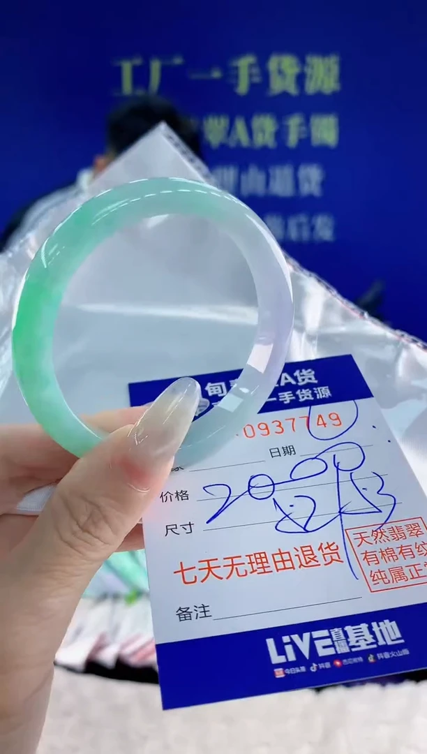 未镶嵌手镯翡翠49