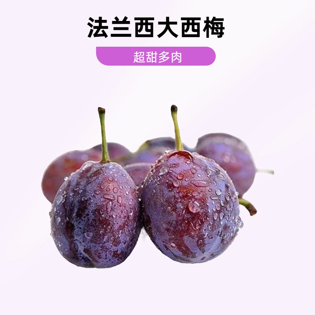【超大超甜】法兰西大西梅