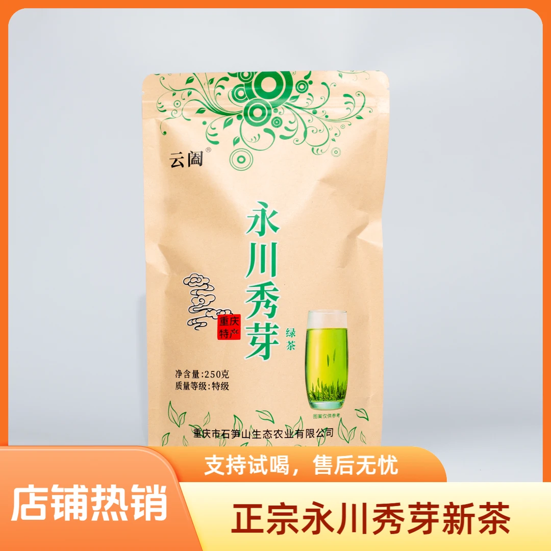 正宗永川秀芽新茶重庆特产早春采摘浓香耐泡绿茶250g
