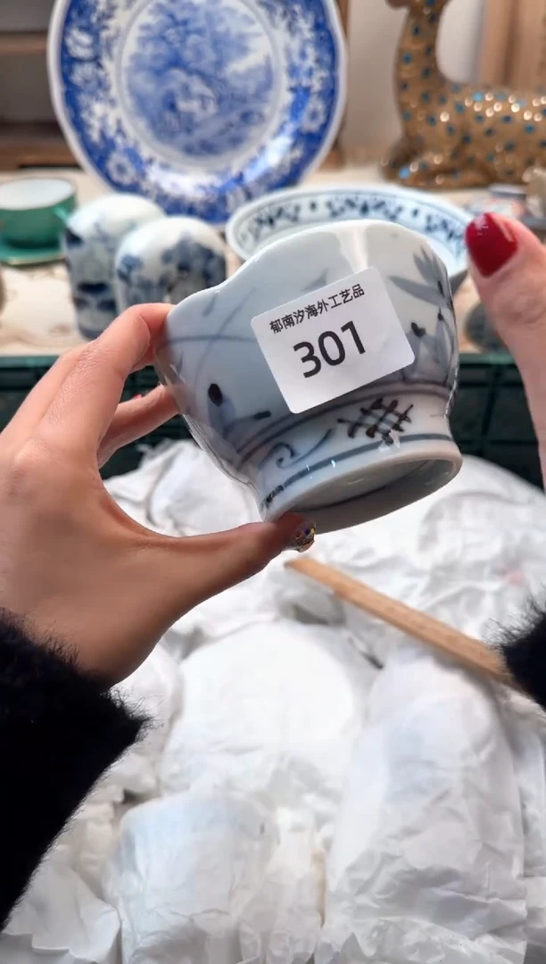 【闪购商品】瓷片A           301