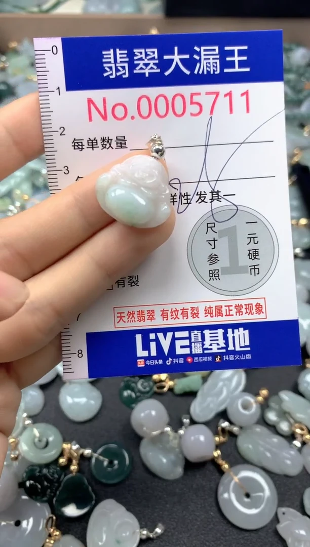 翡翠未镶嵌吊坠(不含链)5711