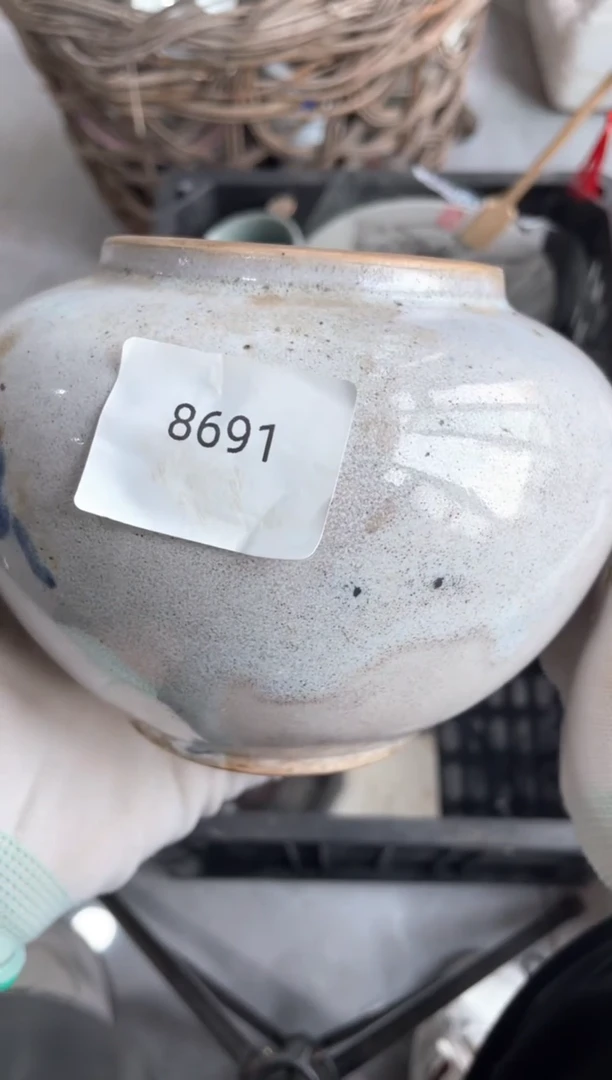 器556677882505308691