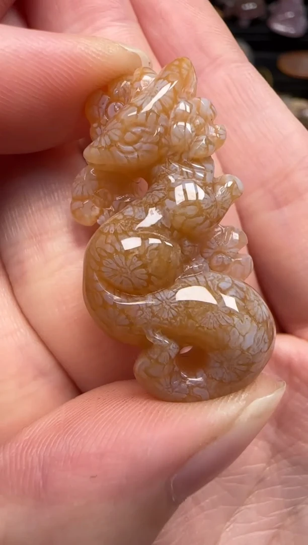 硅化珊瑚（珊瑚玉）未镶嵌颈饰960