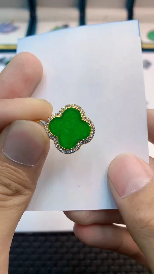 翡翠未镶嵌颈饰             11