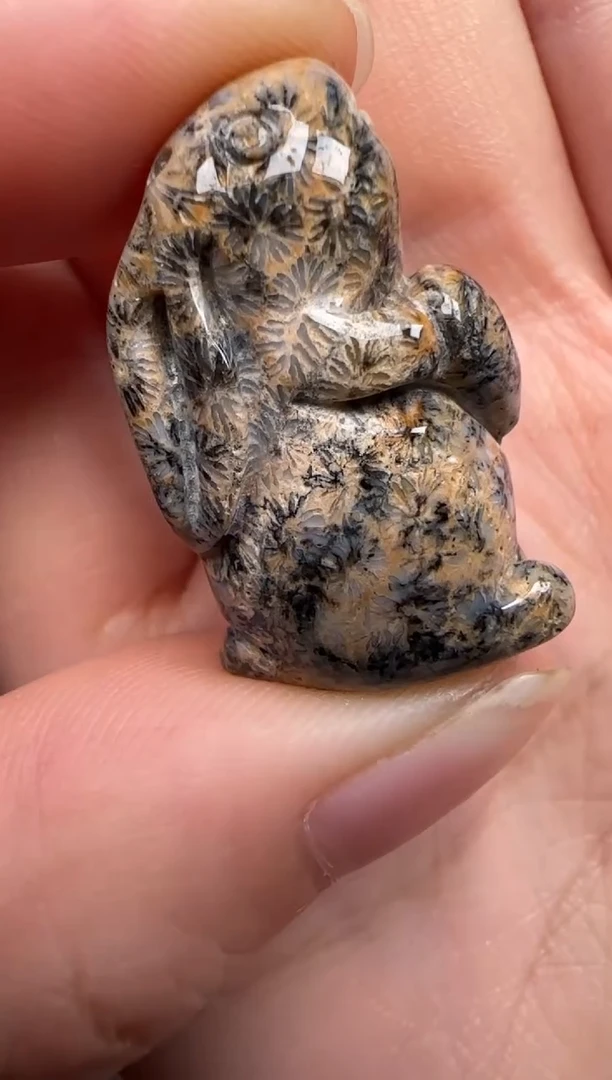 硅化珊瑚（珊瑚玉）未镶嵌颈饰324