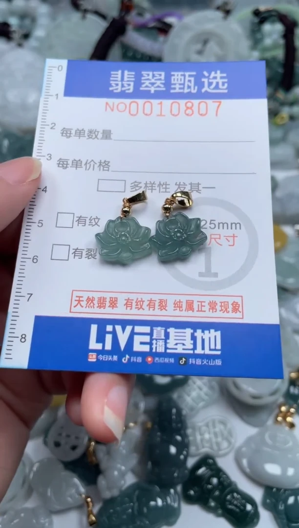 颈饰未镶嵌翡翠10807