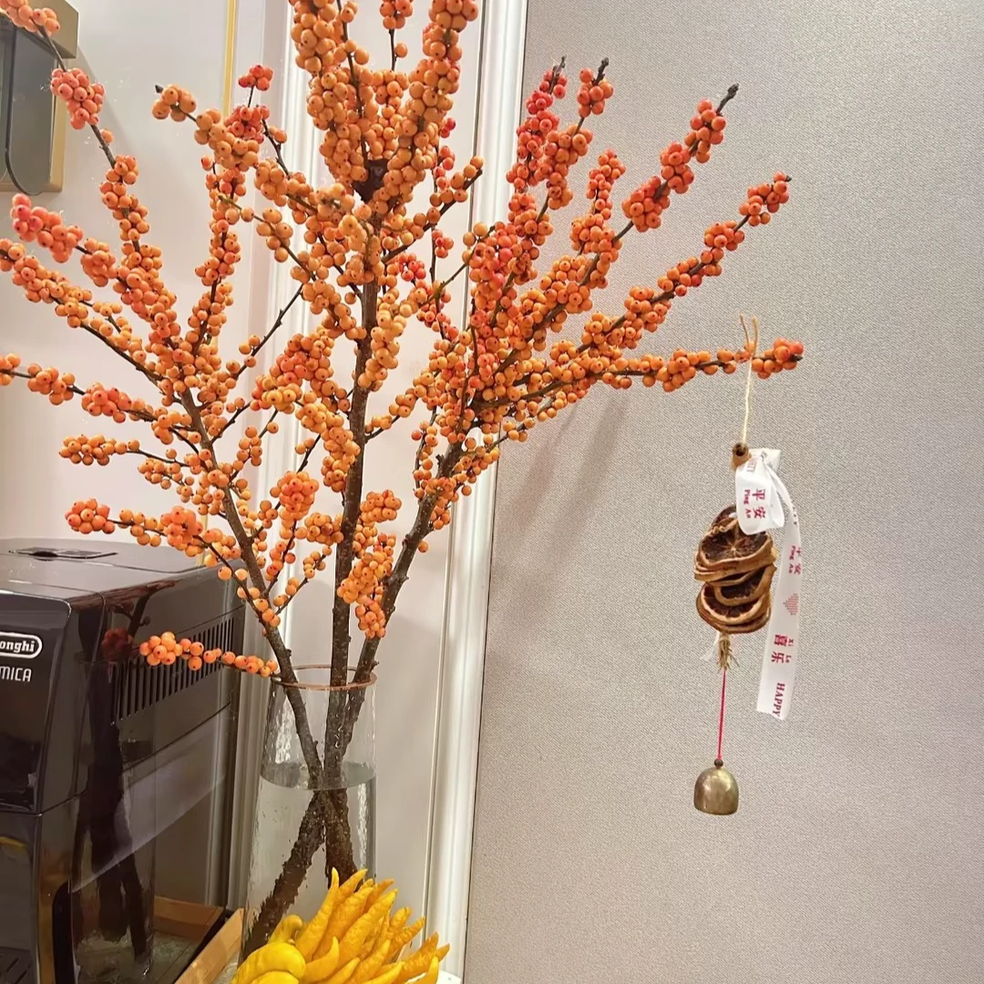 【一品花集】年宵花【爱马仕橙】冬青过年养护密果