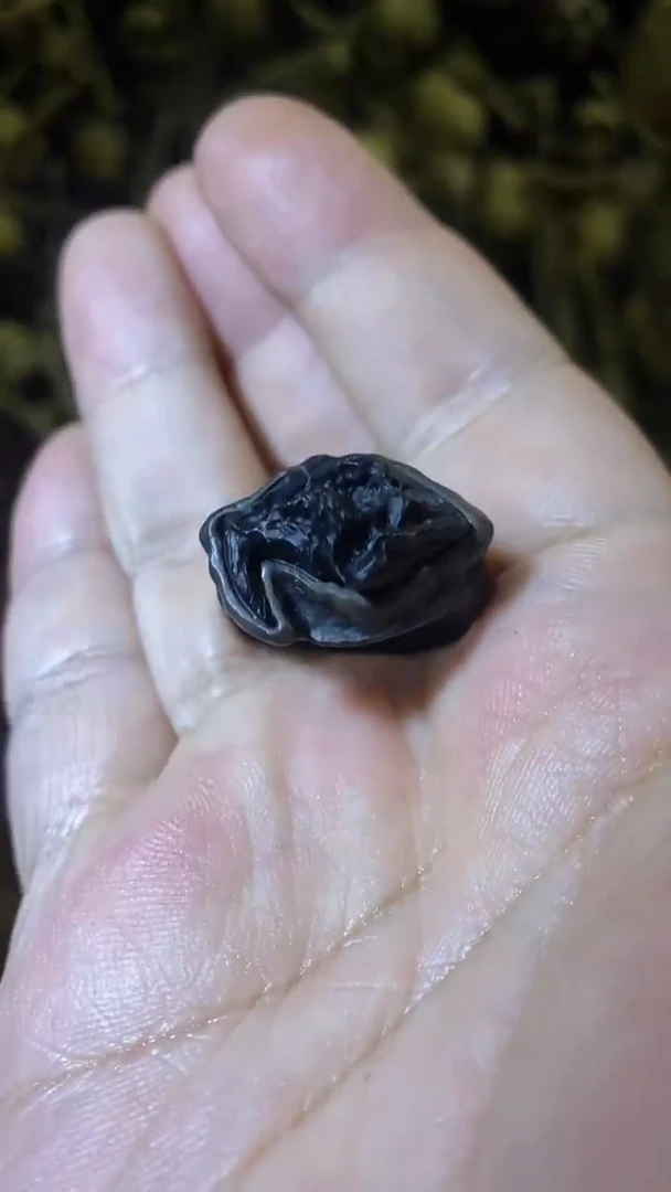 【闪购商品】玛瑙/玉髓颈饰银S925镶嵌116山君剑齿虎港码22圈口