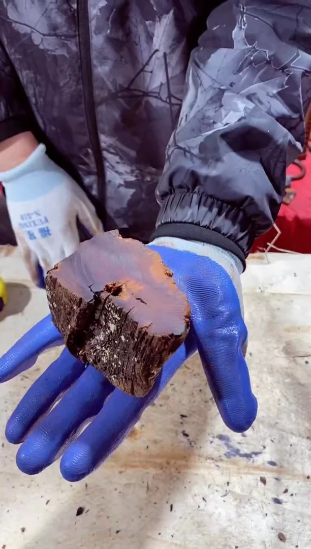 枣木【16】号原木段，尺寸随型