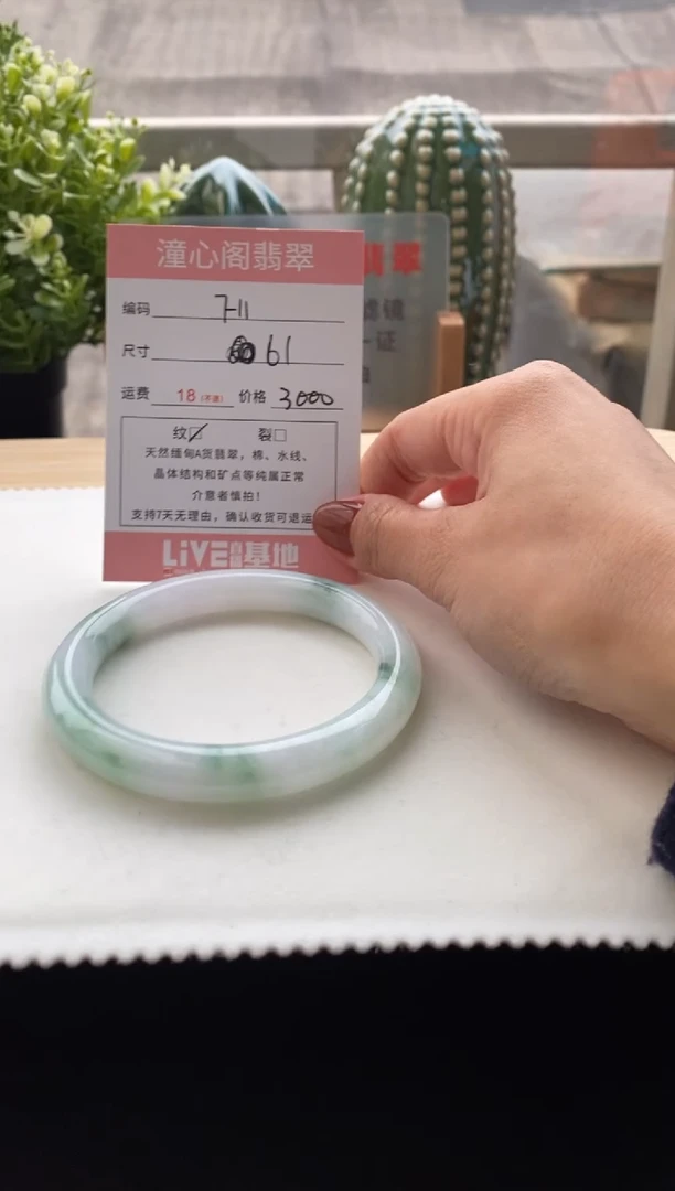 未镶嵌手镯翡翠61圈口 编码F11