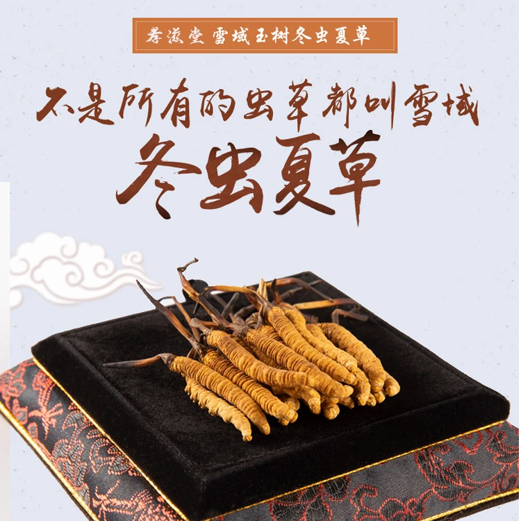 【青自出品】高原玉树头茬冬虫夏草