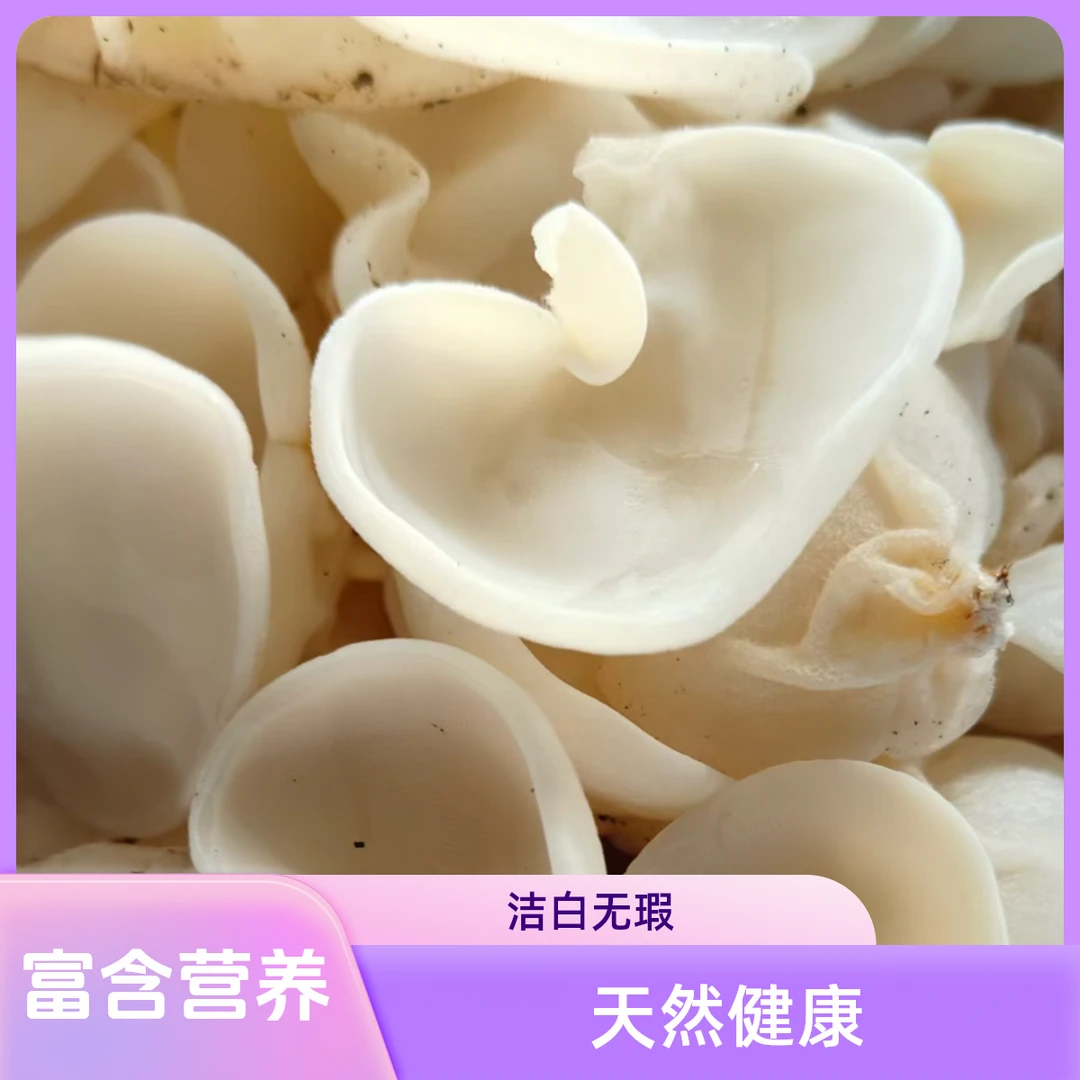 |有机标准| 鲜玉木耳 400g/800g新鲜食用菌