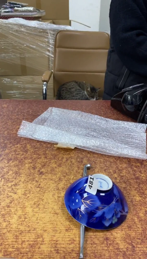 瓷片481小林轩欢迎您