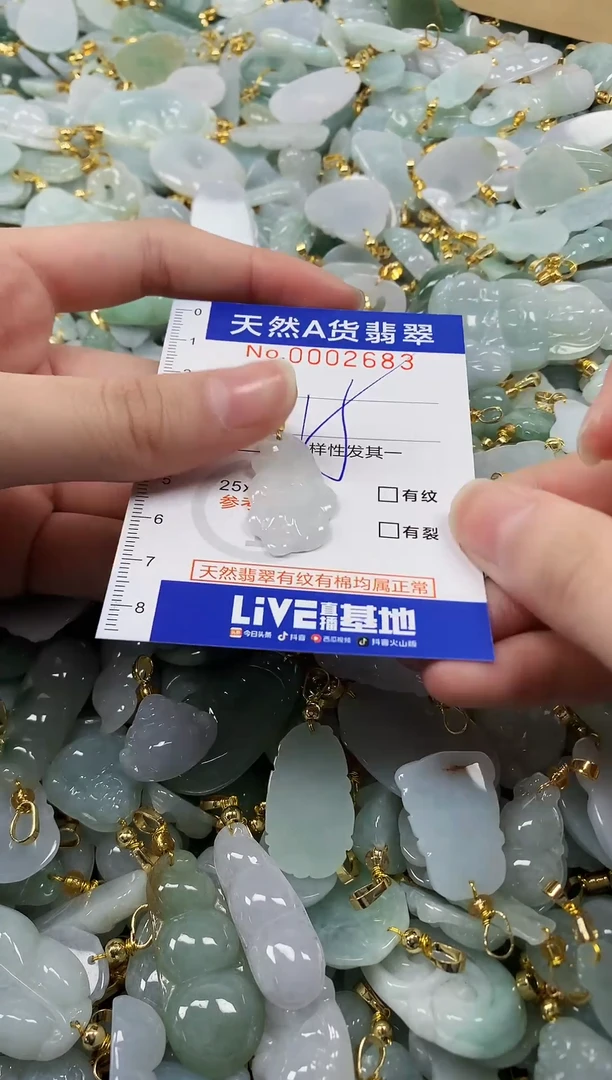 颈饰未镶嵌翡翠纯天然a货翡翠