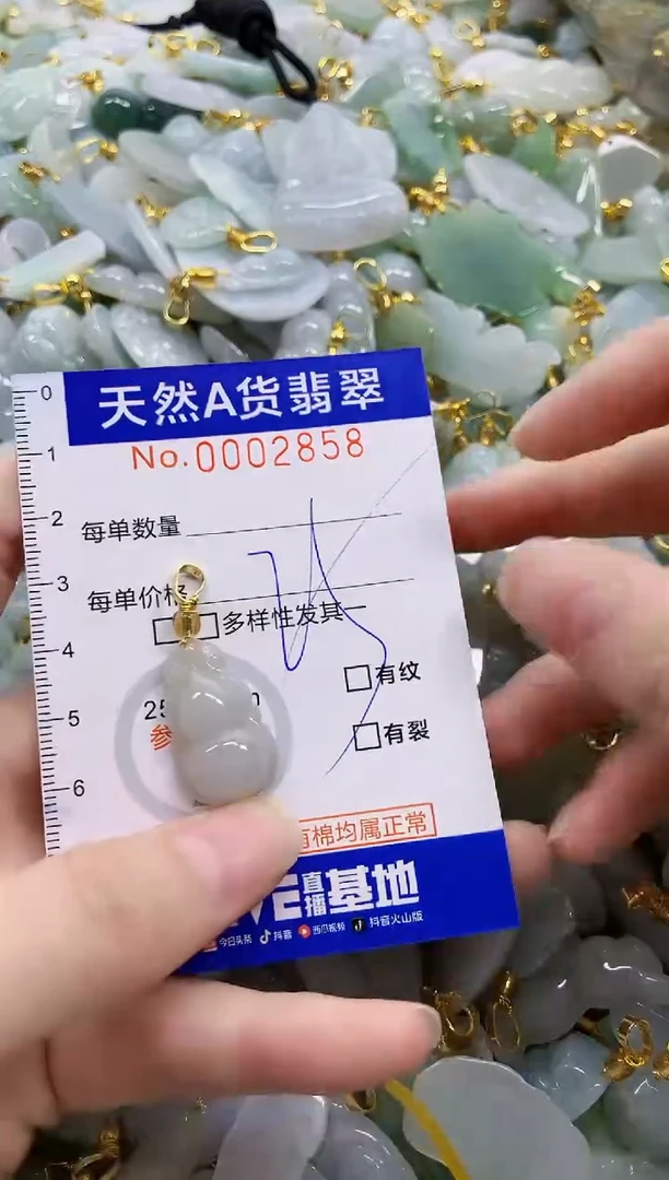 颈饰未镶嵌翡翠天然A货翡翠