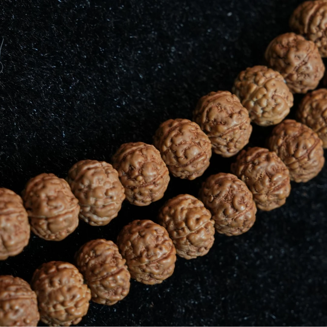 560原皮勿里达老树王尺寸8-11+01单圈