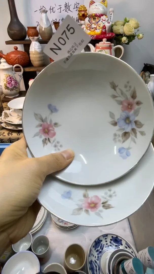 瓷片-N-          075