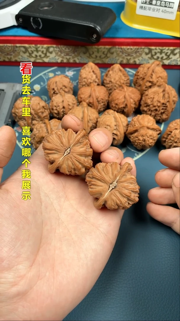 吊坠文玩核桃42白狮子精配红皮