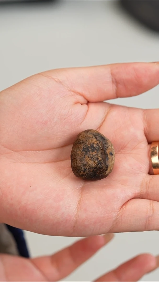 沉香沉香碎屑菲律宾莱特沉水料5.7克