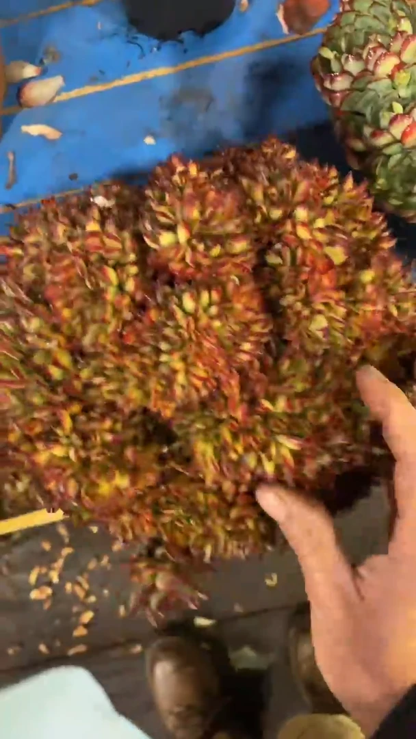 【闪购商品】1427红魔缀