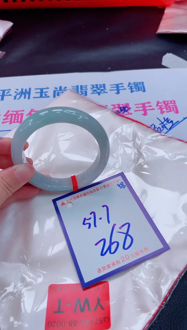 未镶嵌手镯翡翠11111111