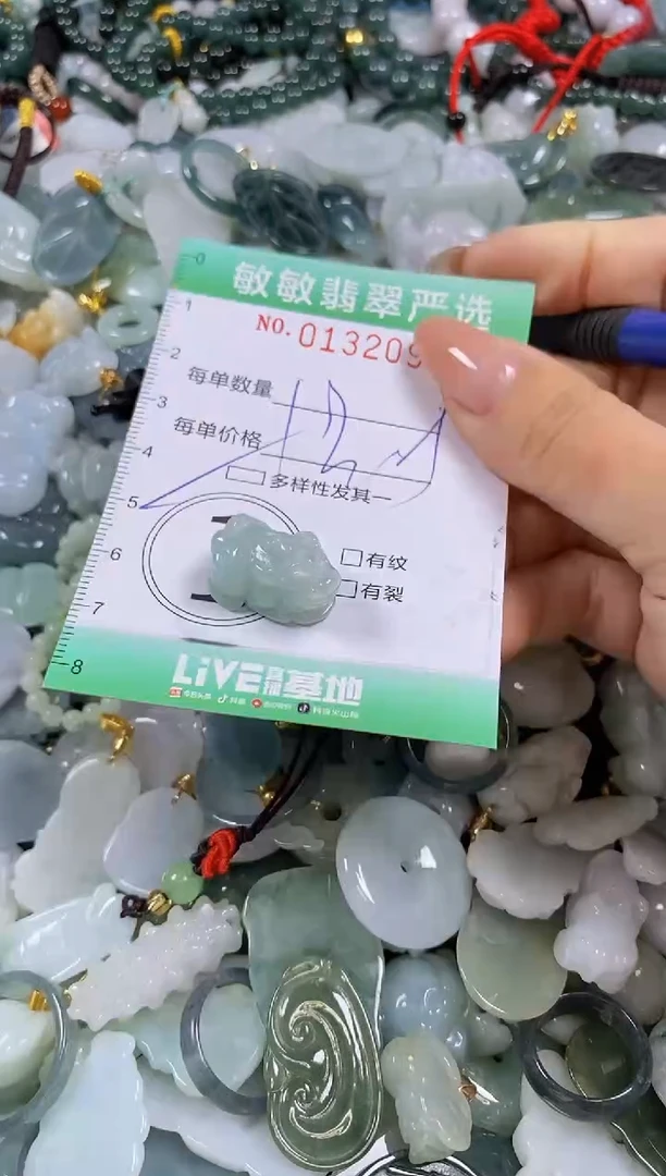 【闪购商品】翡翠颈饰未镶嵌闪购0132091多样性发其一