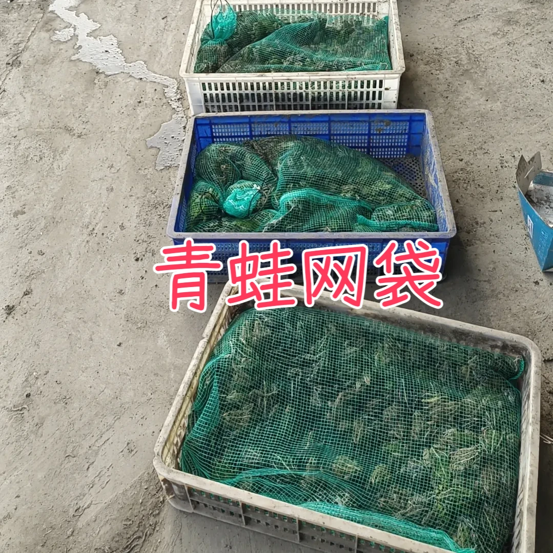 网袋装蛙纱网袋大号带抽绳装林蛙的细网密眼透气编网袋子绿色网格