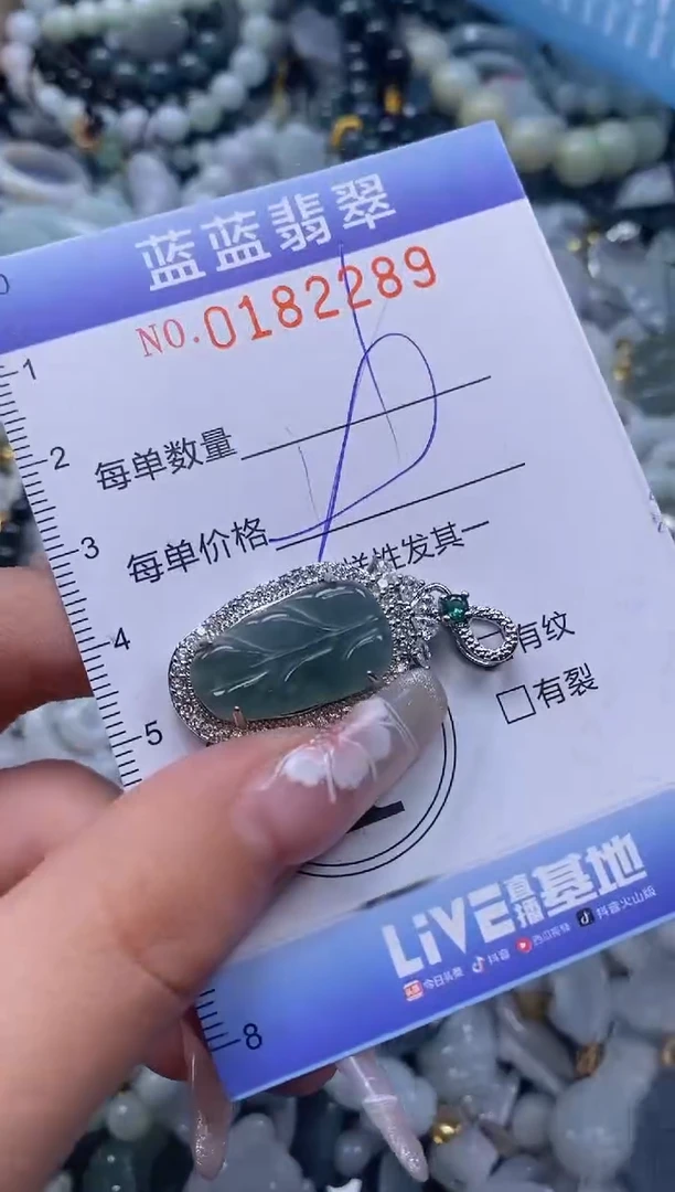 【闪购商品】翡翠颈饰未镶嵌闪购0182289多样性发其一